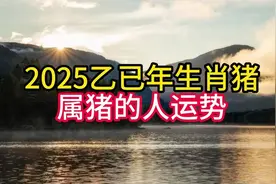 2025乙巳年生肖猪 属猪的人运势！