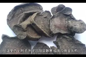 温里药   1.附子的功效与主治视频封面