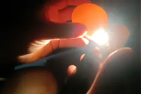 鸡蛋/准备孵化的看一下受精情况/