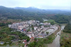 榕树下的故事视频封面
