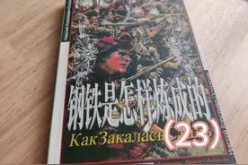 世界文学名著《钢铁是怎样炼成的》〔俄〕尼.奥斯特洛夫斯基 23