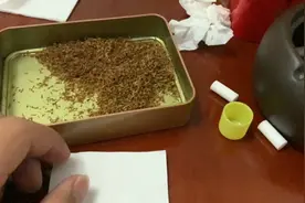 用白酒和蜂蜜调过味的烟丝，抽的有一股米酒味手卷入坑第14天视频封面