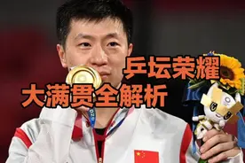 乒坛荣耀：大满贯全解析视频封面