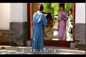 印象红楼梦十二儿之坠儿视频封面