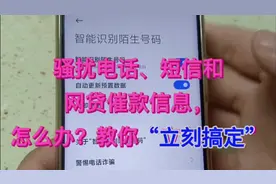 骚扰电话、短信和网贷催款信息，怎么办？教你“立刻搞定”视频封面