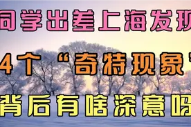 同学出差上海发现4个“奇特现象”，背后有啥深意吗？视频封面