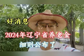 好消息，好消息2024年，辽宁省养老金细则公布了视频封面