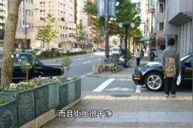 随遇而安视频封面