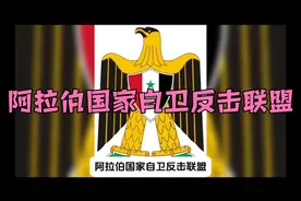 阿拉伯国家自卫反击联盟视频封面