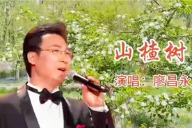 廖昌永演唱的《山楂树》，歌声浑厚抒情，醉人心扉！