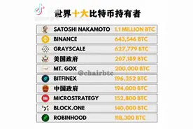 世界比特币十大持有者视频封面