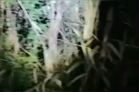 半夜鬼声视频封面