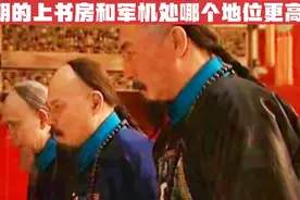 清朝的“上书房”和“军机处”是什么机构？谁的地位更高？