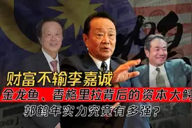 掌控大马经济命脉，金龙鱼背后的实控人，郭鹤年家族实力有多强？视频封面