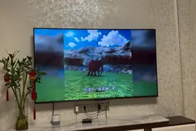 电视屏脏千万别乱擦，保洁阿姨教你一招，擦得干净还不落灰视频封面