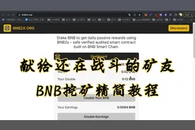 干活不私藏 BNB挖矿单台机器随便20U，可批量操作，配置要求不高