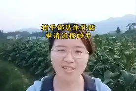村干部退休补贴要怎么申请？是不是就是现任村干部说了算？不是哈