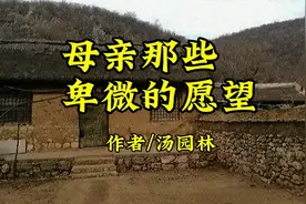 《母亲那些卑微的愿望》文/汤园林视频封面