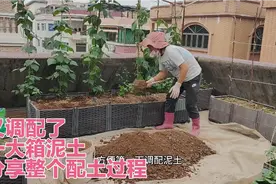 楼顶种菜：又调配了一箱泥土，分享整个配土过程视频封面