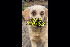 什么是恐怖谷效应视频封面