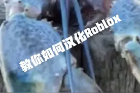 教你汉化Roblox你学废了吗？