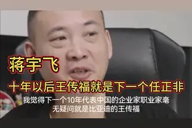 蒋宇飞：十年以后王传福就是下一个任正非！视频封面