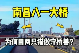 南昌八一大桥，为什么用两只猫做守桥兽？看完这个视频你就明白了
