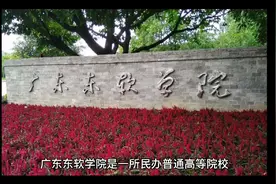 广东东软学院（民办本科）视频封面