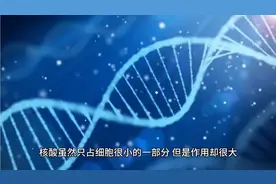 核酸-生命之源、生命之本视频封面