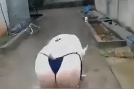 不好意思😬我没忍住🥹视频封面