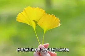两种叶子泡水喝，改善脑供血不足视频封面