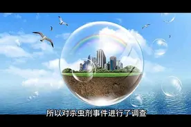 自述美国历史-人类环境宣言视频封面