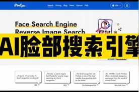 Ai脸部搜索引擎，查看你的隐私有无泄露 #ai #隐私 #隐私保护视频封面