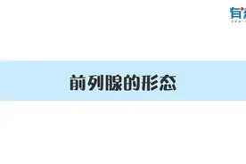 前列腺的位置、形态、结构及功能视频封面