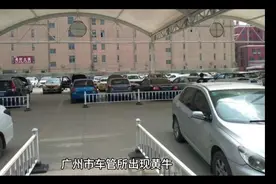 广州市车管所出现黄牛，引发网友友热议视频封面