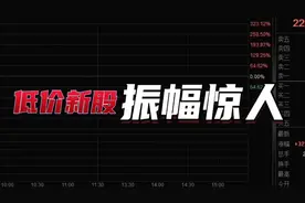 分时演示低价新股首日巨大振幅视频封面