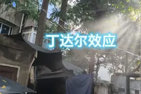 当丁达尔效应出现，光便有了形状，当你出现，心动便有了定义