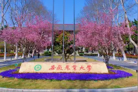 普通家庭孩子报考安徽农业大学选什么专业？视频封面