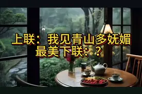 上联：我见青山多妩媚；下联：师友请赐教！