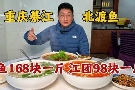 重庆綦江北渡鱼，母猪壳（鳜鱼）168块钱一斤，麻辣鲜香太带劲视频封面