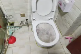 马桶掉了东西怎么疏通？一般大头的弹簧就可以解决，还要超硬可以