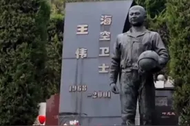 4月1日不仅仅是愚人节，也是飞行员王伟不幸遇难的日子🙏视频封面