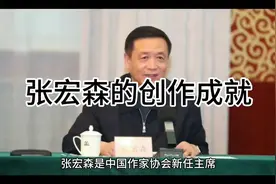 张宏森的创作成就视频封面