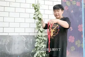 好多人端午节挂艾草都挂错了，今天我告诉大家怎么挂是对的。