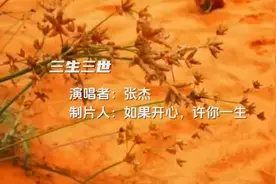 《三生三世》MV，唯美画面，感动心灵，震撼视听。赞不绝口