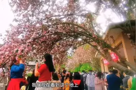 北京的剩女多到有多恐怖不信你来相亲大会全都是硕士博士研究生