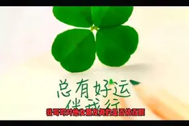 我哥哥的女朋友，是一个非常温柔善良体贴的女孩，非常洒脱女孩
