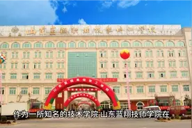 山东蓝翔技师学院，被强制执行1.8亿