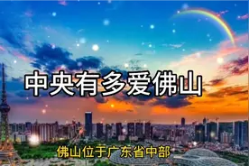 中央有多爱佛山视频封面