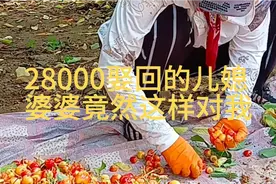 28000娶回的儿媳，婆婆竟然这样对我视频封面